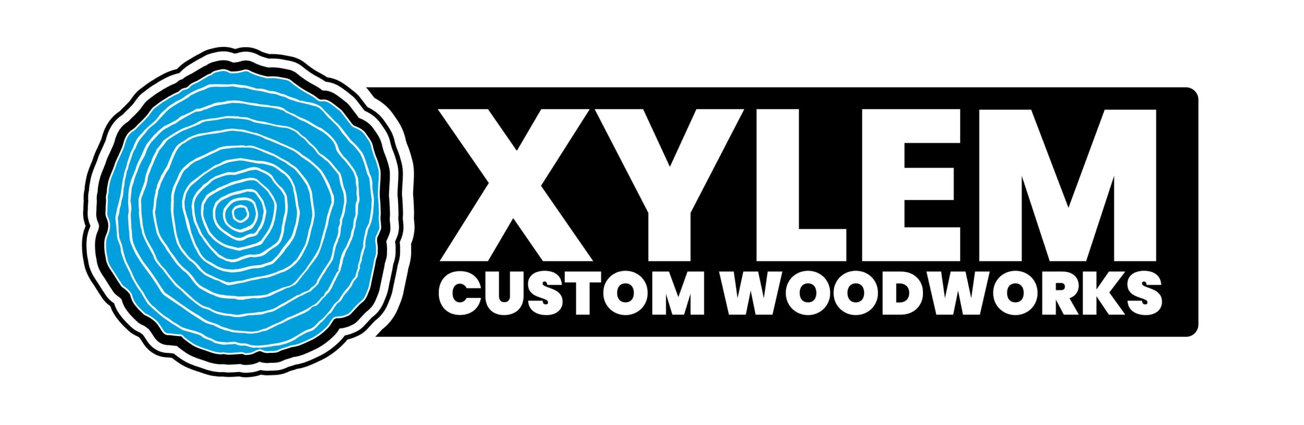 Xylem, Inc